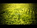 Nature Sound 19 - THE MOST RELAXING SOUNDS -