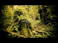 Nature Sound 22 - THE MOST RELAXING SOUNDS -