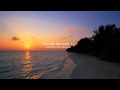 Nature Sound 11 - THE MOST RELAXING SOUNDS -