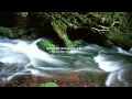 Nature Sound 12 - THE MOST RELAXING SOUNDS -