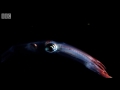 Amazing and weird creatures exhibit bioluminescence - Blue Planet - BBC Earth