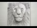 How to Draw a Lion's Head