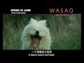 WASAO the movie (trailer)