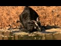 Australia - Eye of the Storm - El Nino