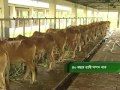 News report 14- State of agriculture in Bangladesh in forty years (Livestock sector)