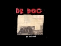 Dr. Dog - 