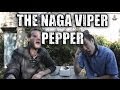 The first 'Naga Viper' Chilli Test