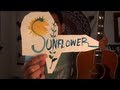 Sunflower (original song) by Dante | GMM