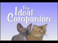 Ideal Companion