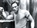 THE FILMS OF ELIA KAZAN