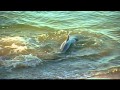 The Intelligence of Dolphins (Part 1)