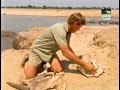 Crocodile Hunter - Wild River of Africa