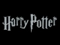 Harry Potter: Theme Song (Hedwig's Theme)