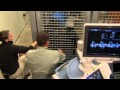 Gorilla Heart Health Study - Cincinnati Zoo