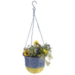  Recycled Sweetie Hanging Basket 