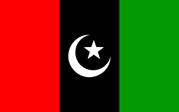 Flag of PPP.png