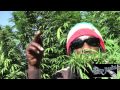 Marlon Asher - Ganja Cowboy [OFFICIAL VIDEO] By TRU REELZ PROD.