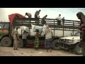 Aid Workers in Somalia - World Humanitarian Day