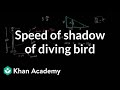 Speed of shadow of diving bird