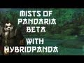 Mists of Pandaria Beta - Wise Mari - The Jade Temple with WOWHOBBS and HYBRIDPANDA