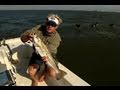 Addictive Fishing: South of the Border - BIG TEXAS trout