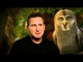 Interview with Anthony LaPaglia for Legend of the Guardians