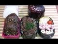 【HD】Beef Bento Lunch Box 牛弁