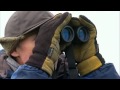 OUT OF THE WILD The Alaska Experiment Disc 2 clip1