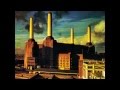 Pink Floyd Pigs (three different ones) Animal