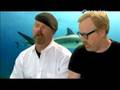 MythBusters - Underwater Armor and Sharks