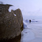 Big Rock, Måsklubben, Hartsö