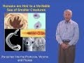 Stanley Falkow Part 1: Human-Pathogen Interaction