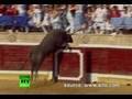 Spain Rampage: Raging bull charges into crowd injuring 40 at bullfight