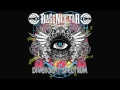 Bassnectar - The Matrix (ft. D.U.S.T.) [FULL OFFICIAL]