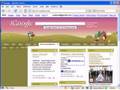 Using Google's iGoogle to Track Blogs, RSS, & News