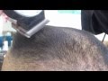 Flat top haircut in 6 minutes clipper fade Video pre Phoenix