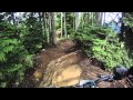 Whistler downhill, bear on MTB trail