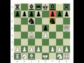 Everything You Need to Know About Chess: The Opening!