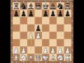 Chess Openings: The Queen's Gambit