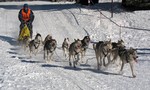 Sled dog racing