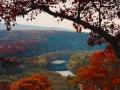 Country roads John Denver  Almost Heaven  West Virginia Parkersburg WV