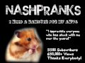 I Need a Hamster for my Anus! - Prank Call