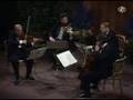 Beethoven String Quartet Op. 18 No.1 1st mvt.