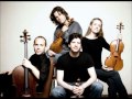 Set Fire To The Rain - Vitamin String Quartet