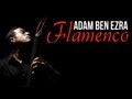 FLAMENCO - Double Bass Solo - Adam Ben Ezra