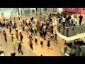 TAP Flash Mob Miami International Airport