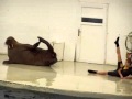 WALRUS EXERCISES WITH TRAINER