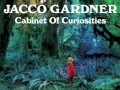 Jacco Gardner - Cabinet Of Curiosities