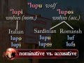 Grammar of Romance - noun cases & articles in Vulgar Latin & the Romance languages