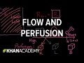 Flow and Perfusion